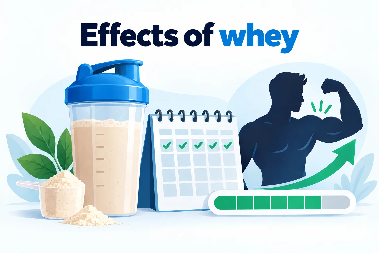 How Long Does Whey Protein Take to Work? The Real Timeline